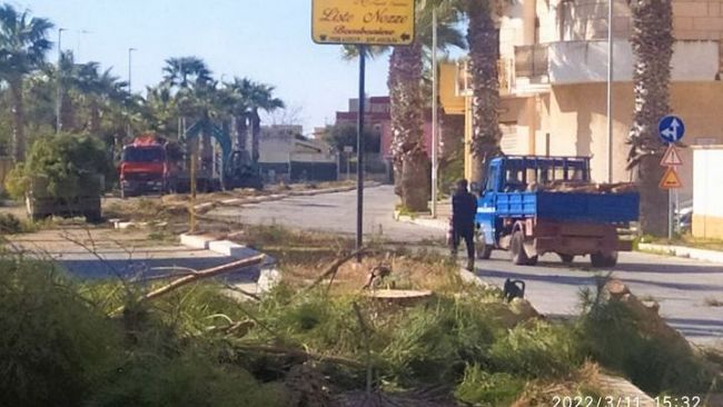Mazara, questioni alberi via Mons. C. Trapani e ponte ciclopedonale sul Mazaro  