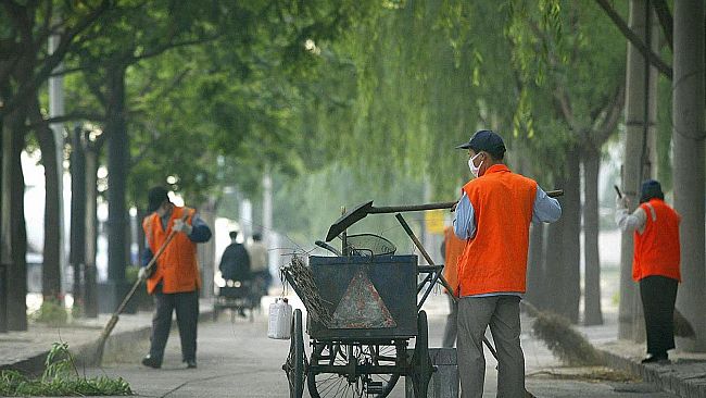 Verde pubblico, canile, attività sociali e culturali. I percettori del reddito di Cittadinanza dovranno lavorare per il comune di Castelvetrano
