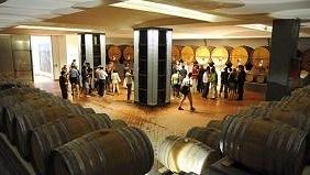 Marsala, si presenta il Calendario della Solidarietà 2015 e non solo… alle Cantine Pellegrino