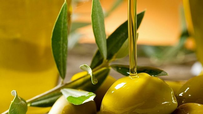 montevago-pubblicata-manifestazione-dinteresse-per-la-raccolta-di-olive-di-proprieta-del-comune