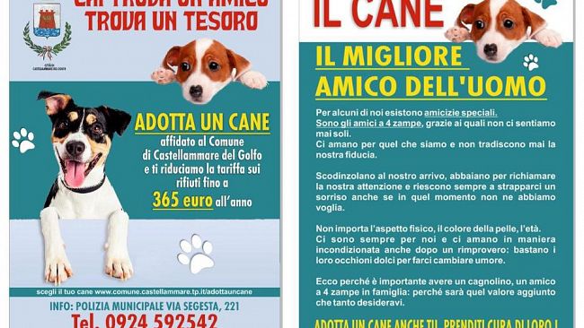 Castellammare, adottando un cane la tassa sui rifiuti sarà sensibilmente ridotta