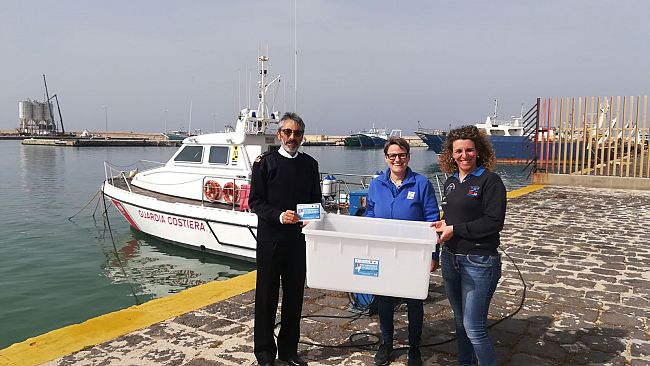 Riparte la stagione del Centro di Primo Soccorso per Tartarughe Marine