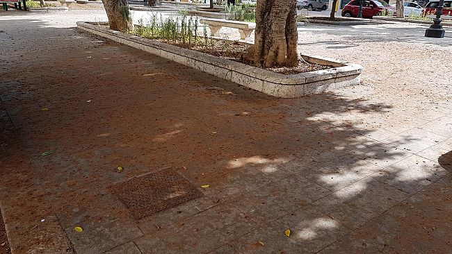 Diventerà bellissima chiede la pulizia dei marciapiedi piazza Stazione e via Fardella