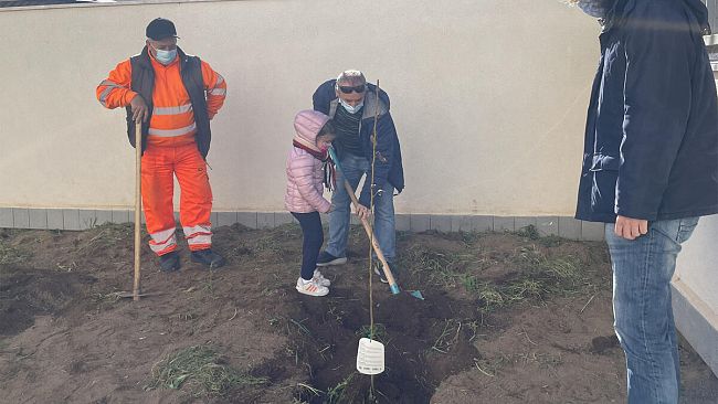 ​Pantelleria, giornata degli alberi 2021: piantati 5 alberi da frutto