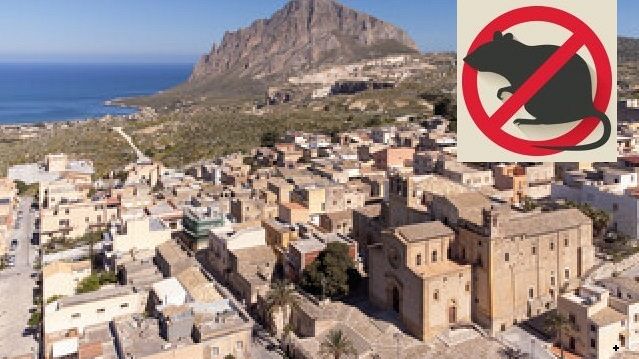 custonaci-al-via-primo-intervento-di-derattizzazione