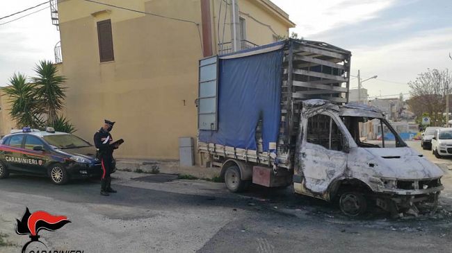 Recapita testa mozzata di maiale, denunciato giovane mazarese