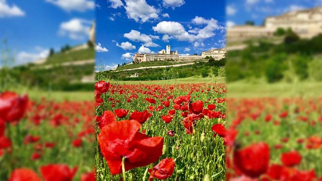 Ultime della sera: “Anche uno spillo sulle spalle spella”