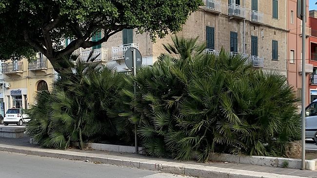 Trapani, tratti di marciapiede impraticabili in via Fardella