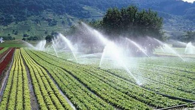 Un comitato di agricoltori castelvetranesi  si riuniscono per dire no agli aumenti del 300% dei canoni irrigazione