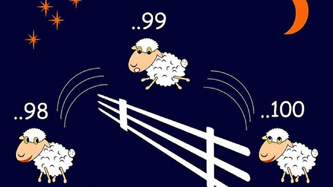 consiglio-comunale-del-24-luglio-adatto-a-chi-soffre-dinsonnia