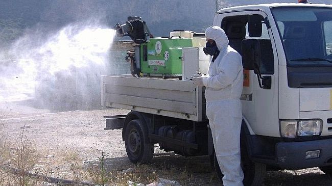 buseto-palizzolo-al-via-interventi-contro-blatte-e-altri-insetti
