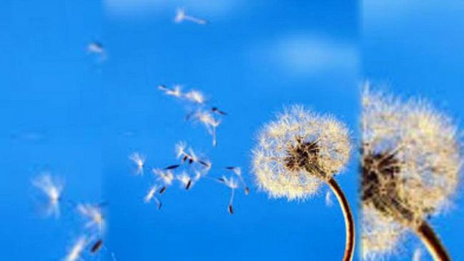 Ultime della sera: “Forma-azione verso Forma-sense