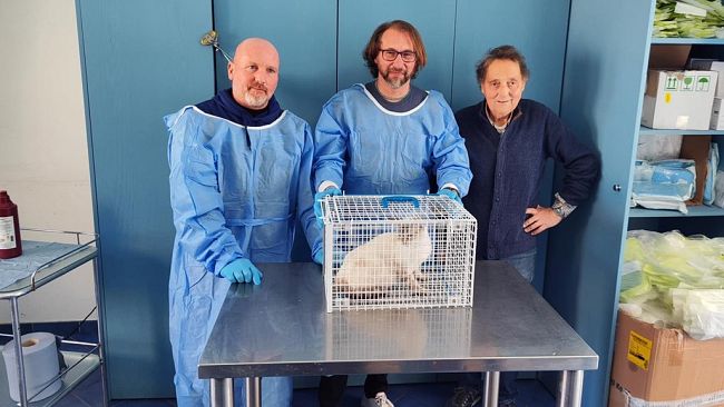 Avviato progetto di sterilizzazione dei gatti randagi sull'isola di Marettimo