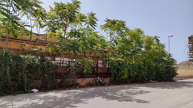 Mazara, struttura fatiscente di via Probo e Verga: degrado sociale e ambientale 