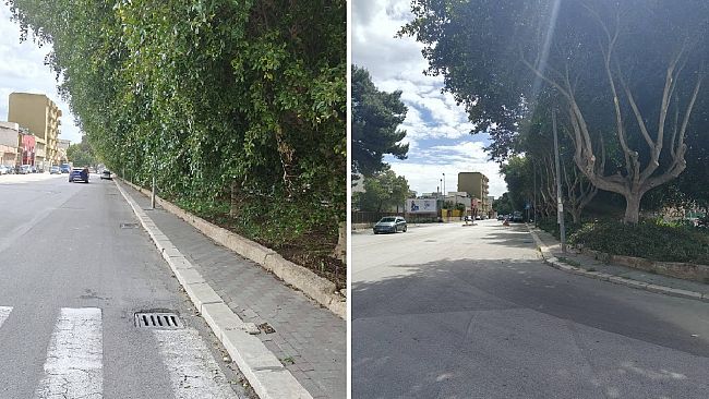 ​Trapani. Interventi di bonifica in via Tenente Alberti