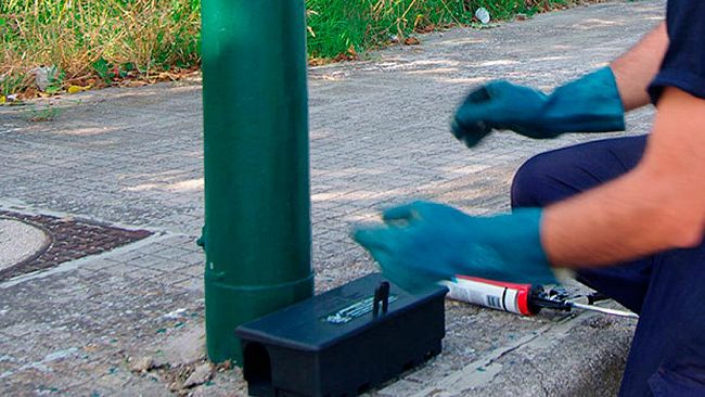 CAMPOBELLO –  Al via oggi la derattizzazione del centro urbano di Campobello.