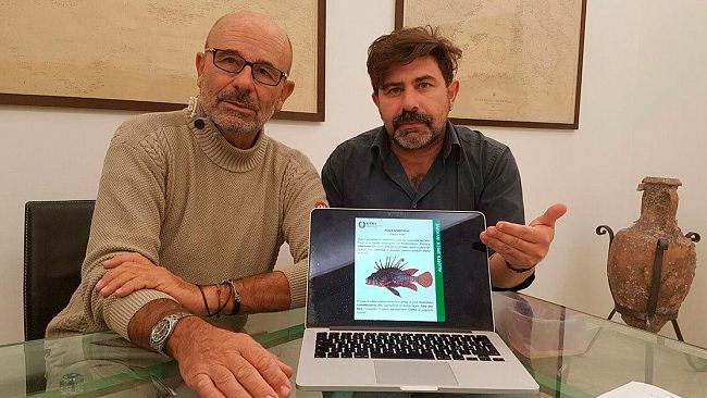 VIDEO – Il pericoloso pesce scorpione. Ne parla il prof. Andaloro, scienziato del mare