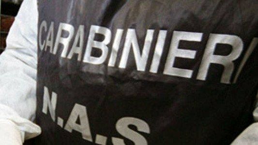 Castelvetrano, esecuzione di due misure cautelari per truffa aggravata