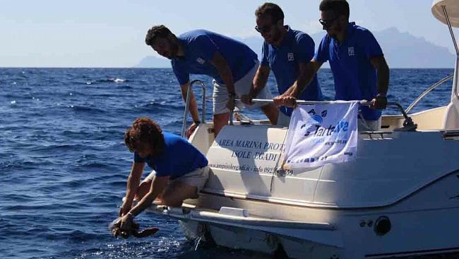 Il Centro di Primo Soccorso per Tartarughe Marine dell’AMP “Isole Egadi” rilascia in mare Hydra