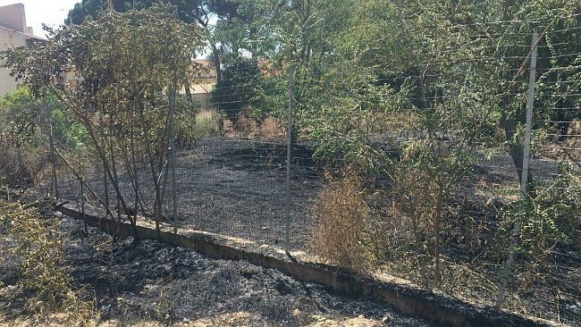 PD Partanna: promessa non mantenuta del sindaco sul verde pubblico e decoro