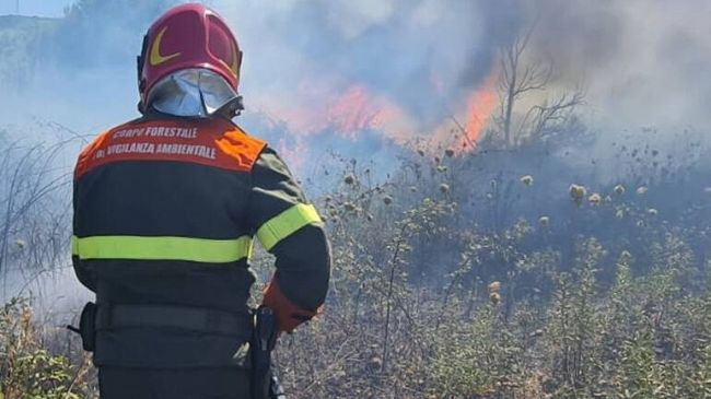 ​Incendi in Sicilia, 3.757 roghi tra maggio e luglio: 31mila ettari distrutti