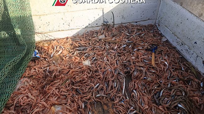 Maxi Operazione “Phoenix”, sequestrati 21 tonnellate di prodotti ittici in Sicilia