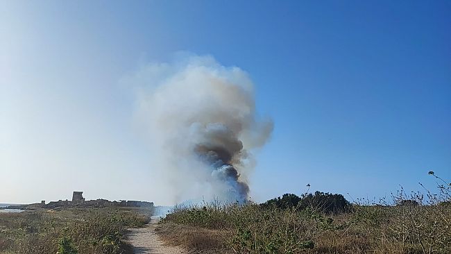 Trapani, fuoco in spiaggia cavallino 