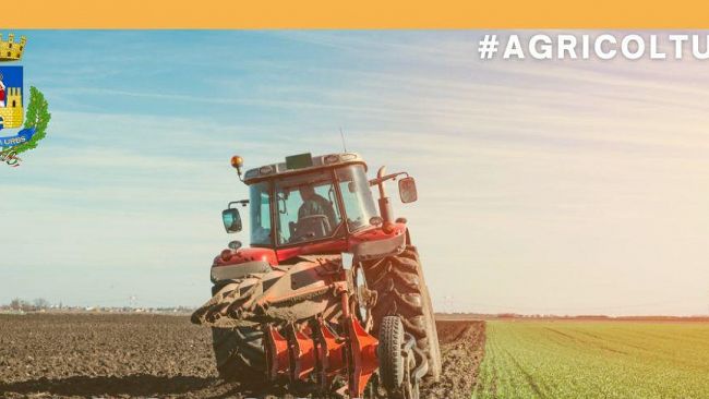 Mazara, il 3 luglio l'assessore Casale incontra gli agricoltori del territorio