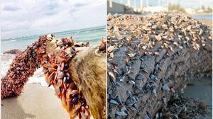 Nell’indifferenza circa il perché delle cose perdiamo il nostro futuro