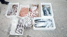 Mazara, Eseguito sequestro di circa 30 Kg. di prodotto ittico, pronto per essere commercializzato