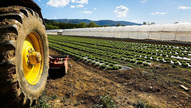 Paceco, prorogato il termine del censimento generale dell'Agricoltura