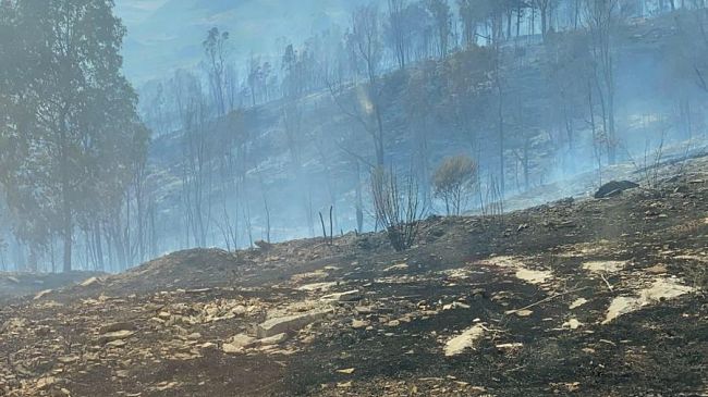 Castellammare del Golfo, sindaco Rizzo: “Sdegno e amarezza per il terribile incendio”