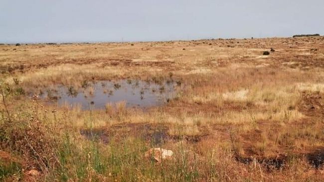 Problemi idrici a Borgata Costiera, l’assessore Reina: “riparato il guasto”