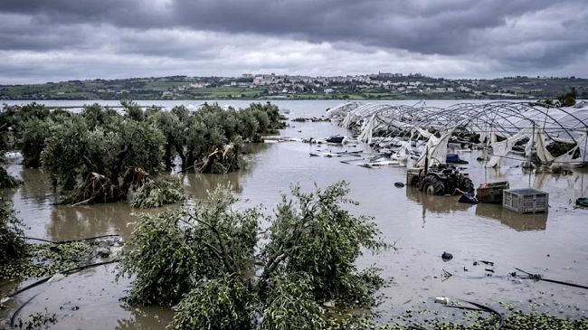 Ciclone Harry, via libera ai ristori: aiuti in arrivo per le aziende agricole siciliane