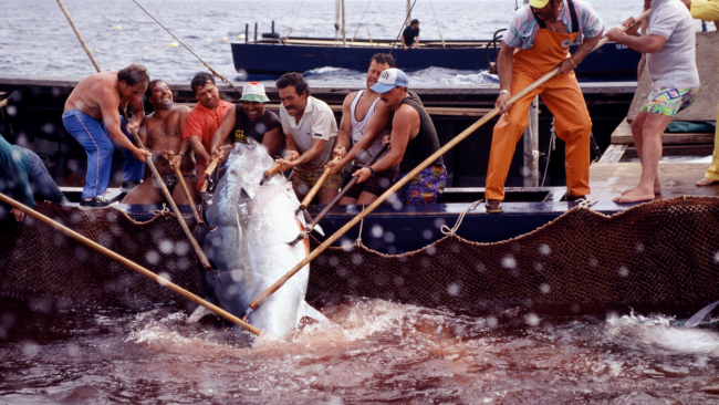 A Belicittà la mostra 