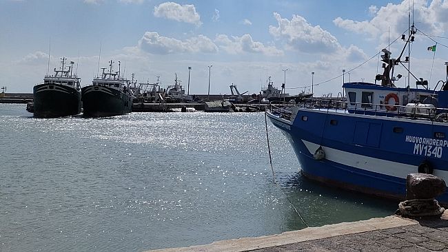  Caro Gasolio, Federpesca: “necessaria proroga del credito d’imposta” 