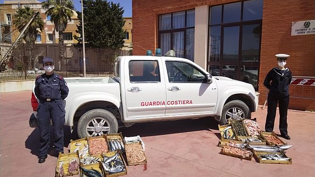 Trapani, sequestrati 90 kg di prodotti ittici privi di traccialbilità 
