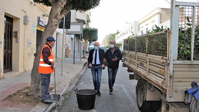 Marsala, l’Amministrazione Grillo ha disposto la potatura degli alberi
