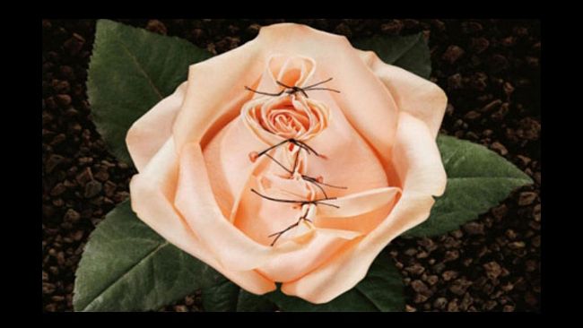 Giornata Mondiale contro l’Infibulazione. Le leggi e le iniziative contro la brutale pratica