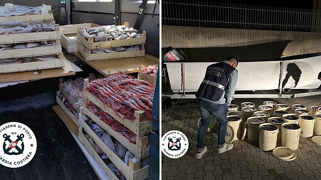 Operazione “Calypso”. Sequestrati 960 kg di prodotti ittici irregolari nel compartamento marittimo di Trapani