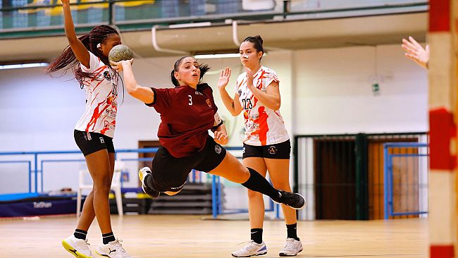 A2, Pallamano: esordio vincente per il Trapani. Edilspi Matttroina sconfitto 43-22