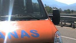 A29, crolla albero nei pressi di Dattilo: auto danneggiate