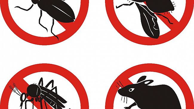 Disinfestazione e Chiusura Uffici Comunali e Scuole