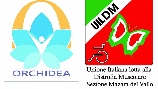“Al Via il Bando per i 100 destinatari di Progetto Orchidea” Organizzare e Rigenerare Contrastando gli Handicap e Includendo i Disabili ed Anziani