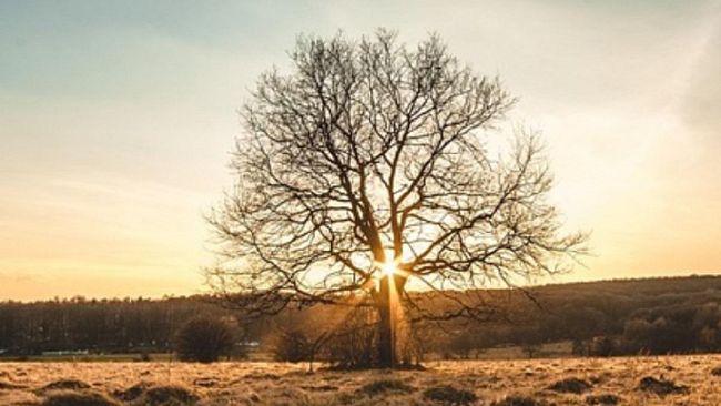 E poi capire che quando non ascoltiamo il cuore stiamo sbagliando