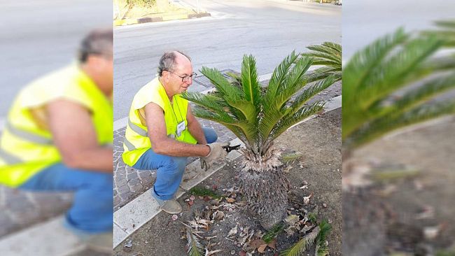 Trapani, i soci di Erythros puliscono le aiuole di piazza Martiri d’Ungheria