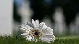 Marsala, commemorazione dei defunti, orario continuato per le visite