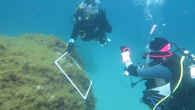 Si conclude alle Egadi il secondo corso teorico pratico