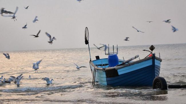 Grande interesse a Bruxelles per un progetto del Distretto della Pesca