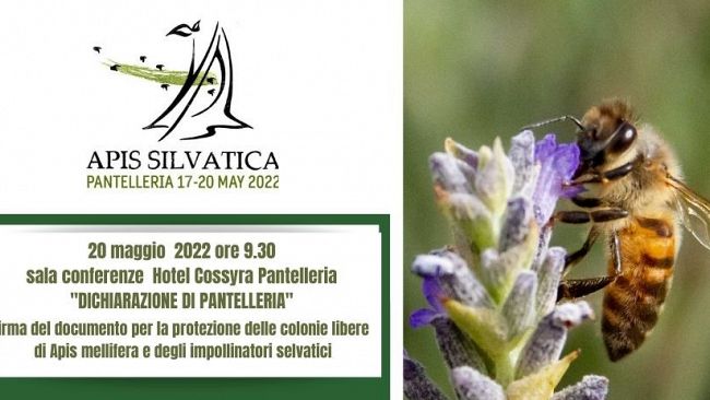 apis-selvatica-domani-la-firma-della-dichiarazione-di-pantelleria